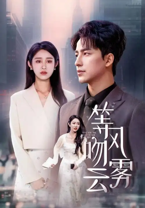 巷口有风都市情感剧全集免费观看